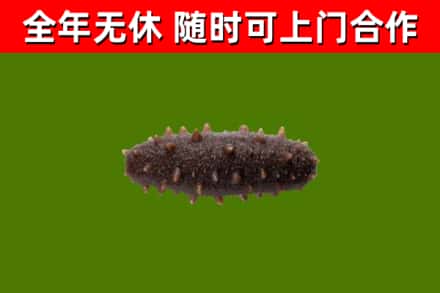 静安区烟酒回收干海参.jpg